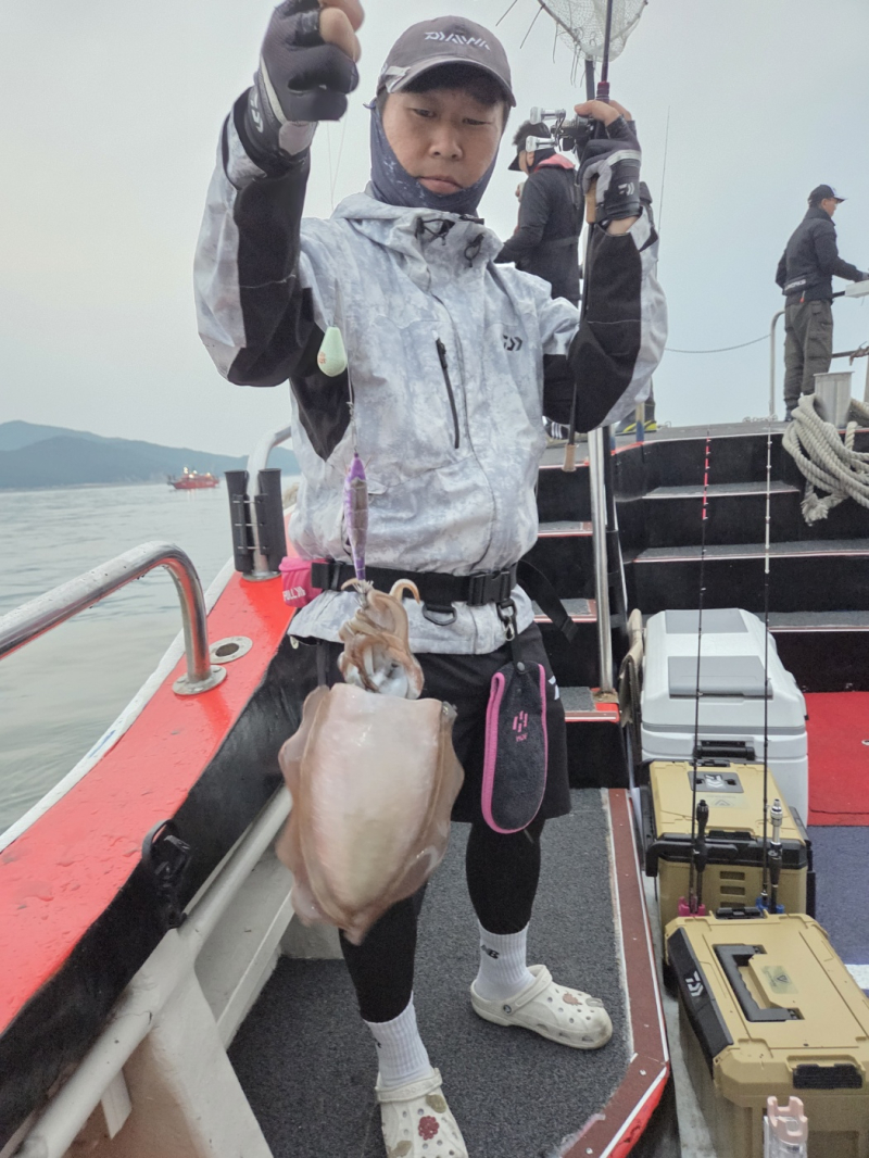 인천 팀에프호 6월 02일 대광어 & 갑오징어 조황!!