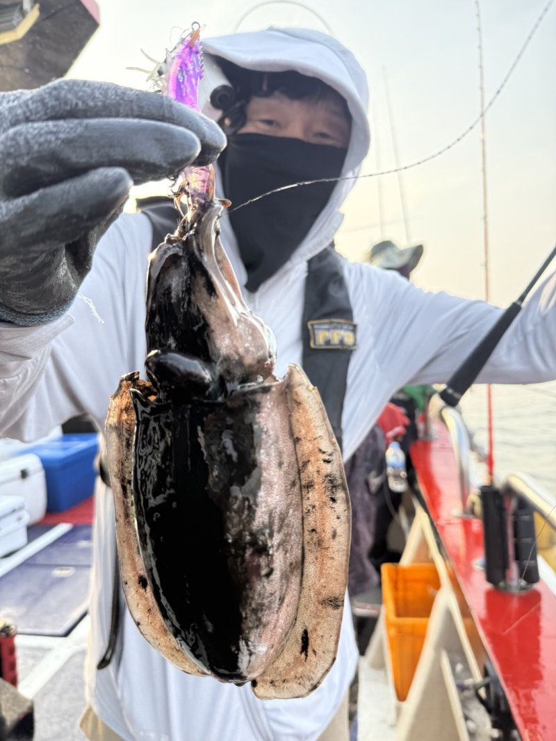 인천 팀에프호 6월 19일 조황!!