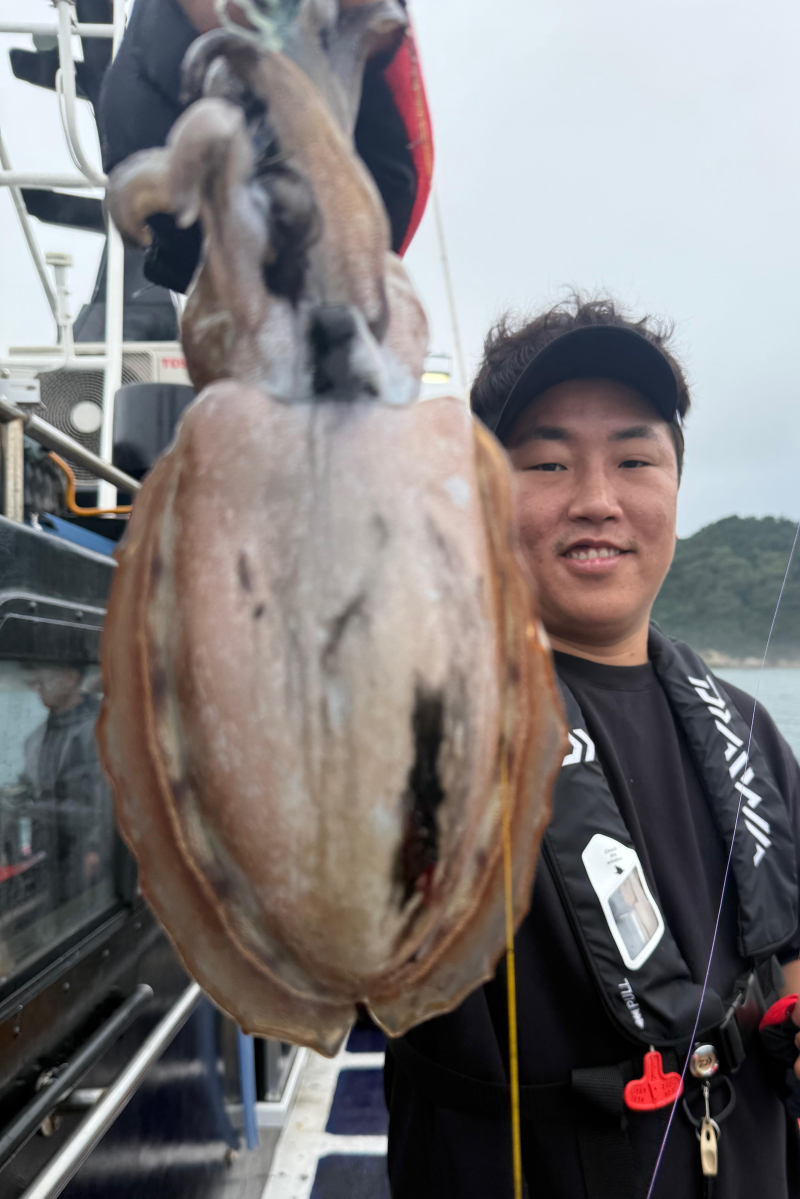인천 팀에프호 6월 29일 갑오징어 조황!!