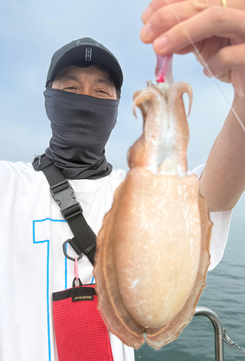 인천 팀에프호 6월 29일 갑오징어 조황!!