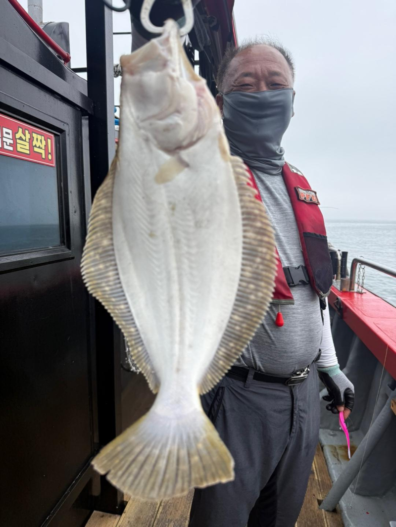 인천 팀에프호 7월 03일 갑오징어 조황!!