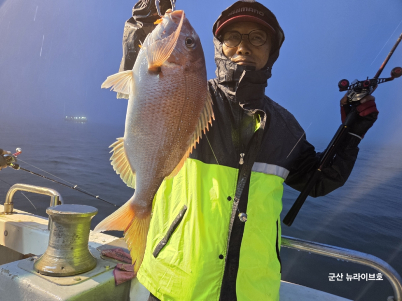 6월14일 뉴라이브호 소수인원과 함께한 참돔오전피딩 씨알마릿수 굿 조황~~