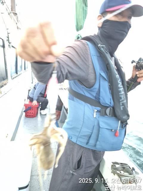 15일 뉴라이브호  무시날 넣으면 나오는 주꾸미 망태기 빵빵한 마무리조황 내일도출항 자리여유있어유~~