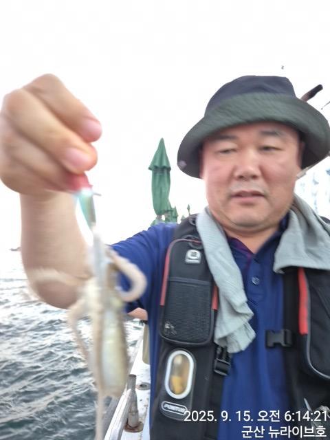 15일 뉴라이브호  무시날 넣으면 나오는 주꾸미 망태기 빵빵한 마무리조황 내일도출항 자리여유있어유~~