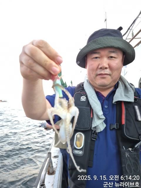 15일 뉴라이브호  무시날 넣으면 나오는 주꾸미 망태기 빵빵한 마무리조황 내일도출항 자리여유있어유~~