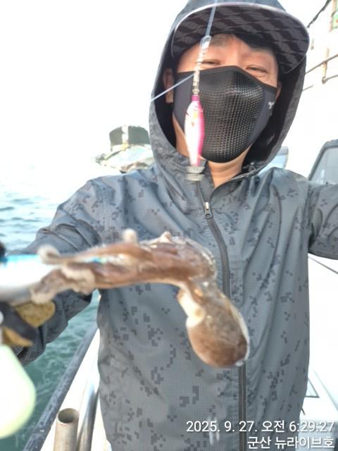 27일 뉴라이브호 시작부터 철수때까지 쉼없이 물어주네요 망태기가득한 마무리조황~~