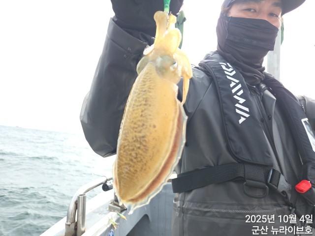 10월3일 뉴라이브호 갑오징어 망태기조황~~