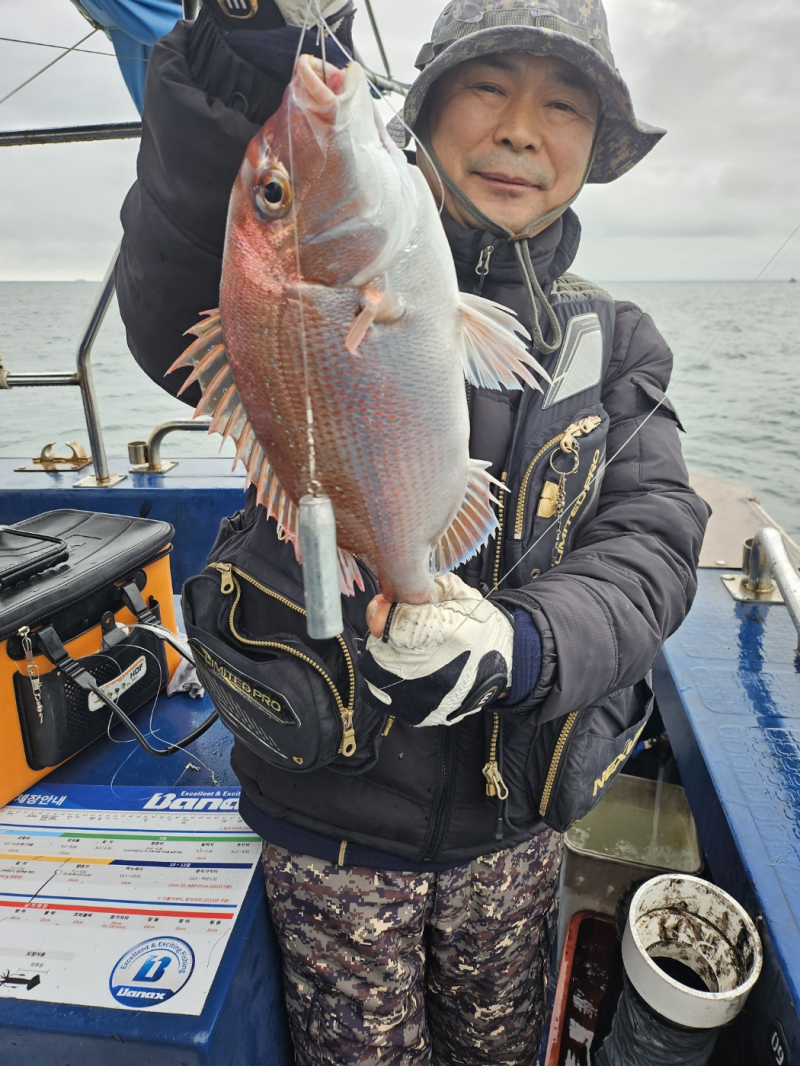 다잡아 외수질 (우럭 광어) 조황입니다