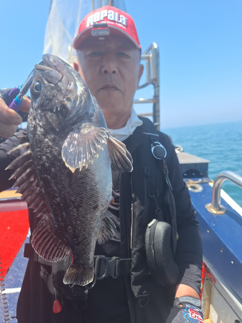 6월 14일 먼바다 외수질 굿 조황!