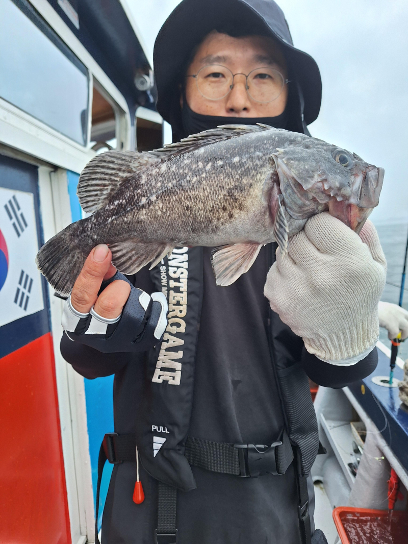 6월 21일 먼바다 외수질 조황!
